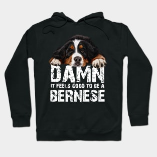 Bernese mountain dkg Hoodie